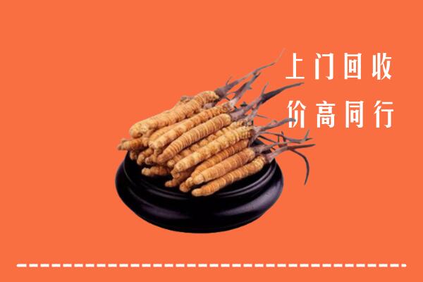 高价求购：九江回收散虫草