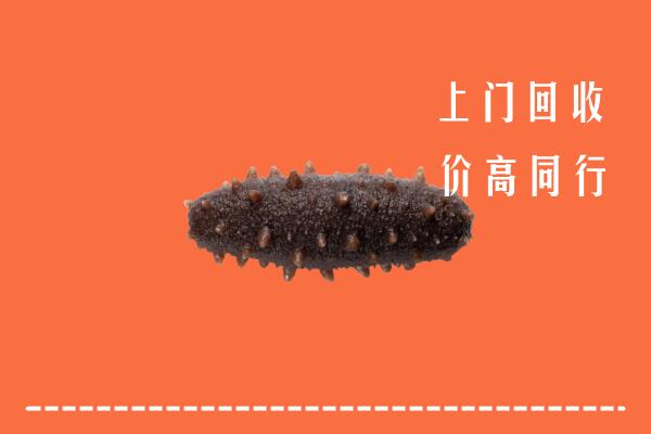 高价求购：九江回收海参